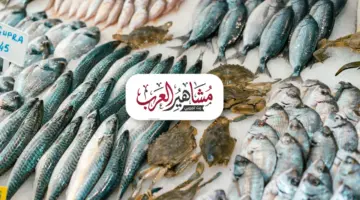 “فسفور” السبت.. أسعار السمك والجمبري اليوم في مصر والبلطي يتجاوز حاجز الـ 67 جنيهًا